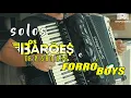 Solos os Barões da Pisadinha e Forró boys na Sanfona-PJ Sanfoneiro