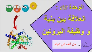 الوحدة 2 العلاقة بين بنية و وظيفة البروتين شعبة رياضيات شعبة علوم تجريبية من ألف إلى ياء 