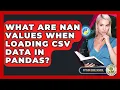 What Are NaN Values When Loading CSV Data In Pandas - Python Code School