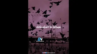 سبحانك ربي سبحانك  سبحانك ماأعظم شأنك   دندنها