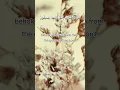 Download Lagu Surah Yaseen Ayat 51 #shorts #quran #mukhtar Al haaj