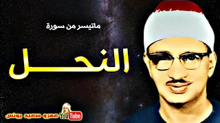 محمد صديق المنشاوي النحـــل تلاوة من روائع دولـة لبيــا عام 1963م جودة عالية HD 