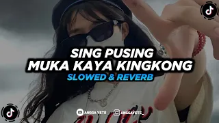 Download DJ Sing Pusing Muka Kaya Kingkong - Slowed + Reverb 🎧 MP3