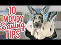 10 Money Saving Tips For Bunny Shopping