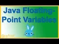 Java Floating Point Numbers - float and double