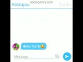 Kinkajou and Turtle Texting