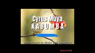 cyrus muya kabumba 0973656636 zambian gospel music gods sonant 