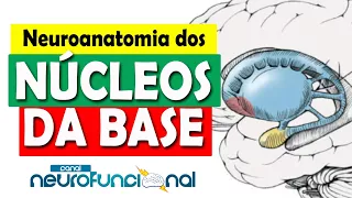 NÚCLEOS DA BASE: Neuroanatomia Funcional (Aula Completa)