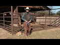 Why Cowboys Wear Chaps