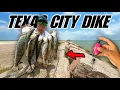 Catching LIMITS of Speckled Trout at the Texas City Dike