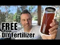 What I Use instead of Miracle Gro plus Free HomeMade Fertilizer