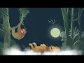 Download Lagu Leeuw \u0026 Luiaard: ademavonturen in de jungle (intro video)