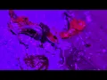 Download Lagu V. MSH  water  full  of shark  fins    VIOLETTA MISHCHENKO presents