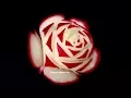 Rose Flower Radish Simple Beginners 30 Mutita Edible Art Of Fruit Vegetable Carving
