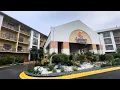 Affordable cost Hotel Naples Florida Comport Inn Naples East I-75