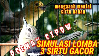 Download Adu Kencang 3 Sirtu gacor sangat Ampuh untuk mengasah mental sirtu bahan. MP3