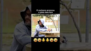 O CACHORRO COMEU O PIUPIU DELE