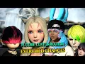 FFXIV Future Customisation - Evercold Features