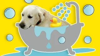 فوزي موزي مع عفو وعدي اغنية النظافة Hygiene Song 