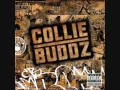 collie buddz  Let Me Know