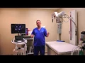 What s It Like in a 24-Hour Vet Hospital