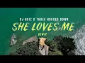 DJ Noiz, Three Houses Down - She Loves Me (Remix)
