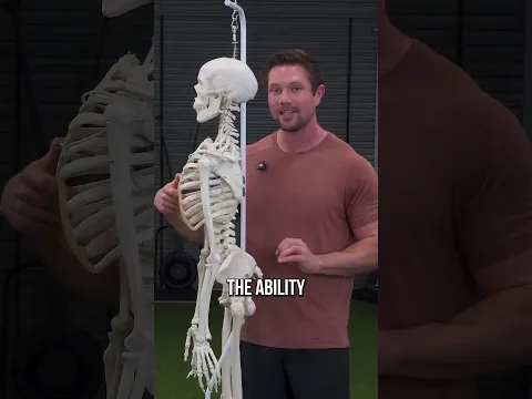 Stretching Your Hip Flexors Won’t Fix Them, But This Will