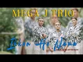 IKKON HO NAMA || MEGA J TRIO || Singel Perdana || Cipt.Larsen Situmorang