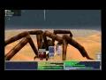 Everquest Project 1999 - TERRORANTULA spawns in South Ro