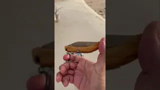 يوم جبت العيد ف القربه حقت الغنم  يوم جبت العيد ف القربه حقت الغنم