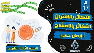 17 شرح التكاثر الجنسى بالاقتران والتكاثر بالامشاج احياء تالته ثانوي 2023 إيمان حسن 