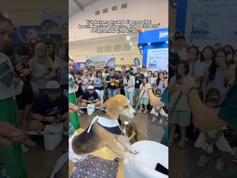 YUK KETEMU RYUKI & RADEN DI ACARA PET EXPO‼️🥳 #shorts #anjinglucu