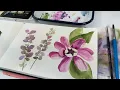 Download Lagu Watercolor Journal Day 216 (Japanese Barberry and Eastern Sweet Shrub)