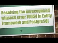 Resolving the unrecognized winsock error 10054 in Entity Framework and PostgreSQL