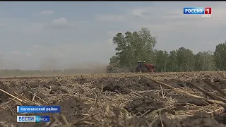 Аномальная жара ставит под угрозу урожай в Омской области