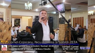 cornel cojocaru sunt om cu suflet curat la casa mea eu sunt stapan live botez ionut si andrei