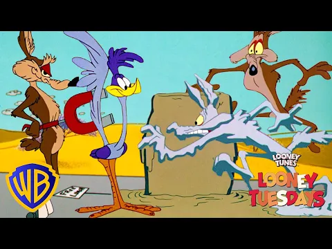 Download MP3 Looney Tuesdays | Coyote's Best Failed Plans | Looney Tunes | WB Kids