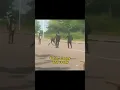 Download Lagu Judo Applied in REAL Life Situation! #shorts