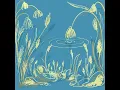 flowerbap - MZERA