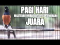 Download Lagu MASTERAN MURAI BATU FULL ISIAN MEWAH 100% AMPUH MEMANCING MURAI BATU YANG LAIN AGAR IKUT BONGKAR