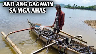 BANGKA NI TATAY PUNO NG AHAS