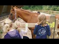 Download Lagu Manege Onder de Linde