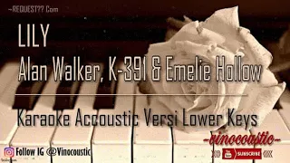Download Alan Walker, K-391 \u0026 Emelie Hollow - Lily Karaoke Akustik Versi Lower Keys MP3
