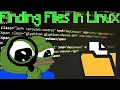 How to Find Files in Linux On the Terminal