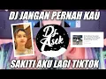 Download Lagu DJ JANGAN PERNAH KAU SAKITI AKU LAGI REMIX TIK TOK FULL BASS❗