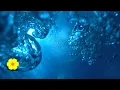 Download Lagu Underwater REAL Bubble Sounds - Water Bubbles - Underwater Sounds Ambience Relax White Noise 5 HOURS