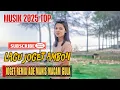 Download Lagu LAGU JOGET AMBON TERBARU 2025 REMIX ADE MANIS MACAM GULA