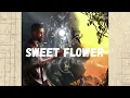 Sweet Flower [Slowed + Reverb] AP Dhillon | Syra | Black Lofis | 2024