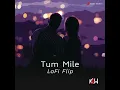 TUM MILE ( LOFI FLIP )💞💖💞