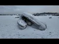 Dead Fin whale remains in Anchorage mudflats